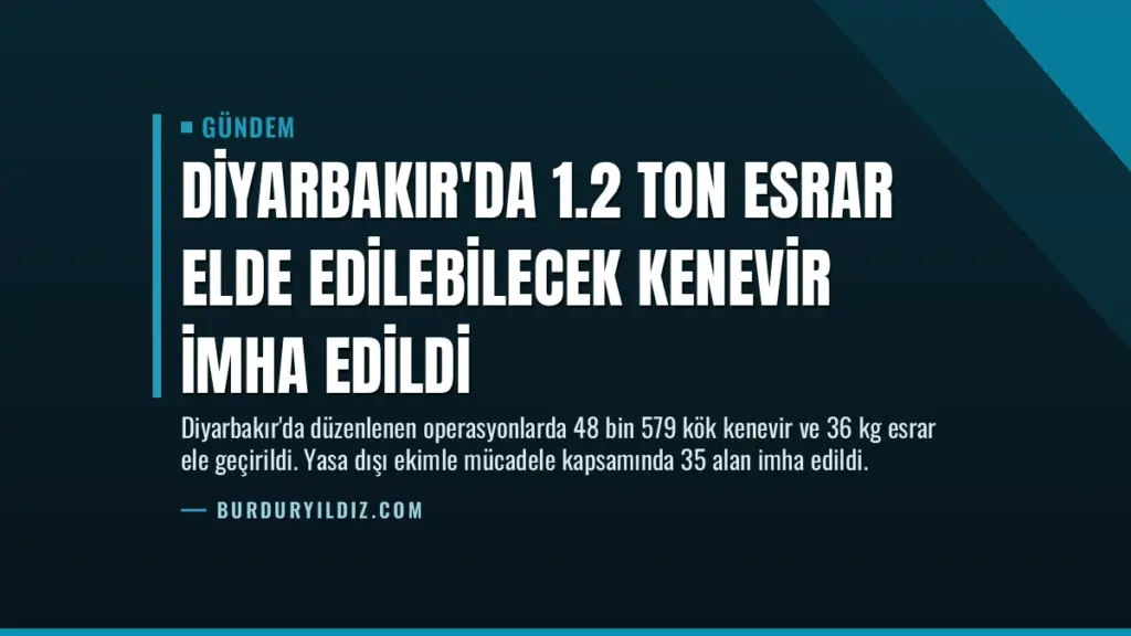 Diyarbakır'da 1.2 Ton Esrar Elde Edilebilecek Kenevir İmha Edildi
