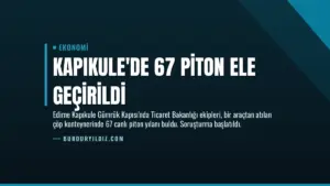 Kapıkule’de 67 Piton Ele Geçirildi