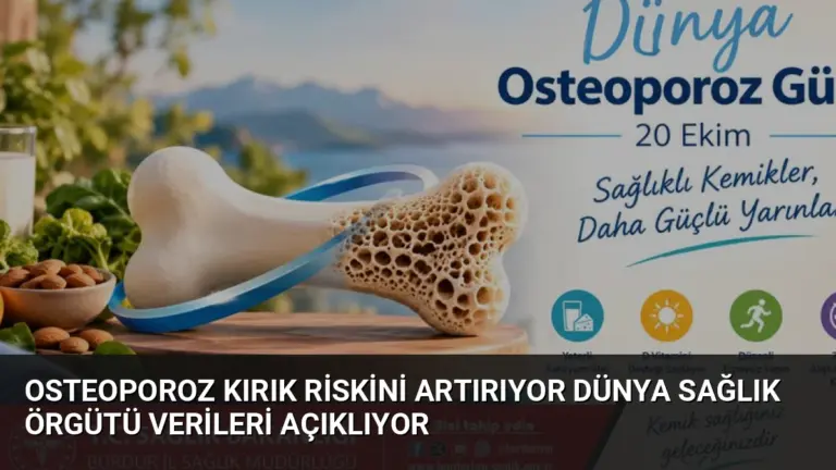 Osteoporoz Kırık Riskini Artırıyor Dünya Sağlık Örgütü Verileri Açıklıyor